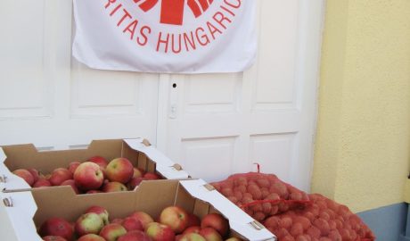 Krumplit és almát osztott a Győri Karitász